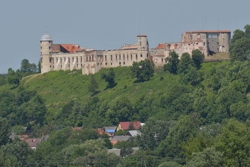 Zamek w Janowcu