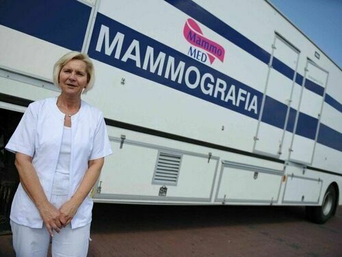 Zdjęcie mammbusa