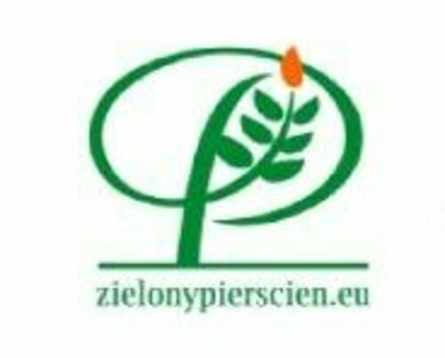 Logo LGD "Zielony Pierścień"