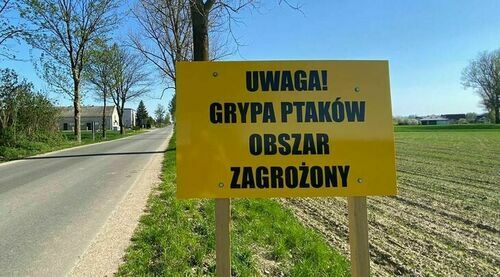 Uwaga! Grypa ptaków!
