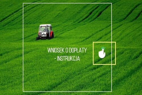 Szkolenie i pomoc w wypełnianiu wniosków