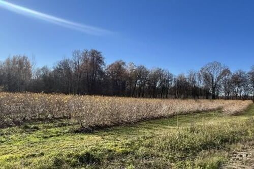 Konkurs "Polska wieś – dziedzictwo i przyszłość"