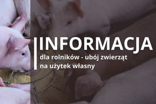 Poradnik pt.  „Wymagania weterynaryjne przy przeprowadzaniu uboju zwierząt w gospodarstwie celem pozyskania mięsa na użytek własny - informacja dla rolników”