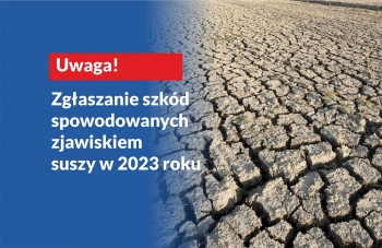 Informacja o szacowaniu szkód w wyniku suszy w 2023 r.