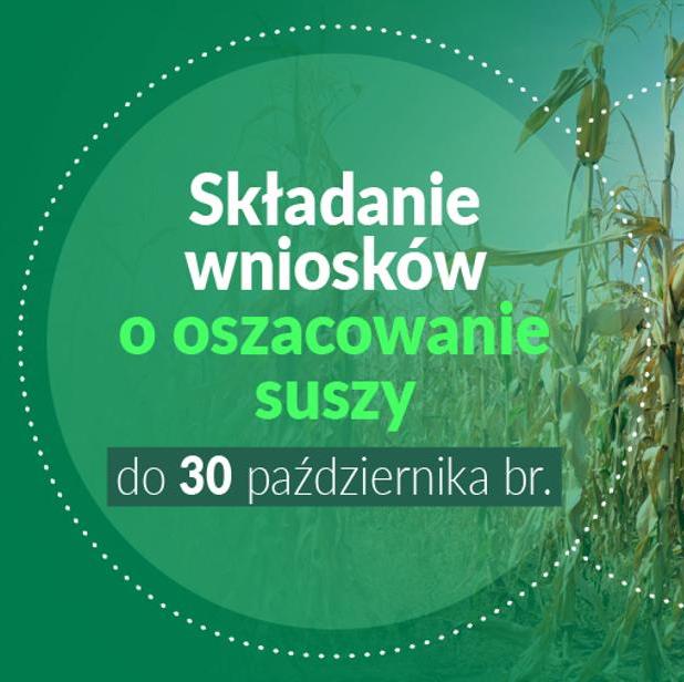 MRiRW informuje: termin na składanie wniosków o oszacowanie suszy w aplikacji „Zgłoś szkodę rolniczą” wydłużony