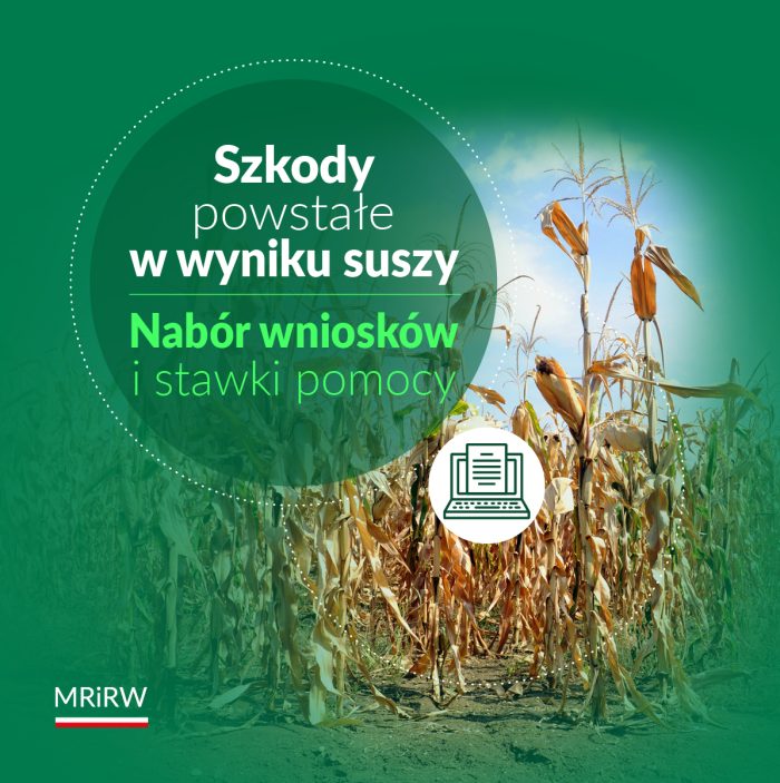 Szkody powstałe w wyniku suszy – nabór wniosków i stawki pomocy