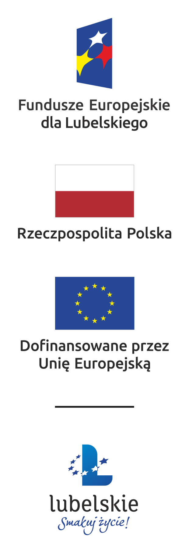 Rozwój usług elektronicznych oraz wzmocnienie stopnia cyfryzacji urzędów w gminach subregionu puławskiego