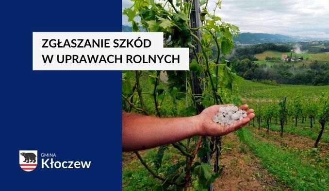 Zgłaszanie szkód w uprawach rolnych – gradobicie