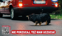 Plakat A3 2024 Nie porzucaj