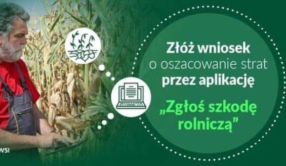 Susza w uprawach rolnych - wnioski do 15 października!