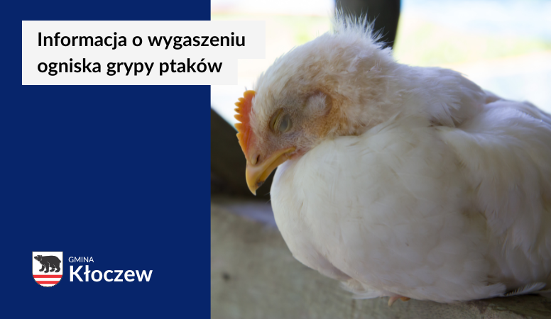 Informacja o wygaszeniu ogniska grypy ptaków