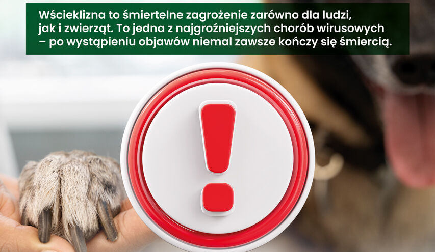 Przypominamy o obowiązku szczepień przeciw wściekliźnie !!!