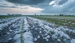 Na zdjęciu fotografia pola z widocznym śniegiem