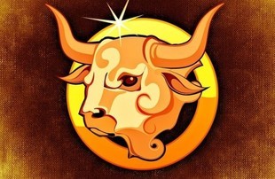 Znaki Zodiaku - czas Byka