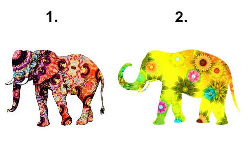 Wybierz słonia, który ci się podoba i sprawdź, czego się najbardziej boisz!