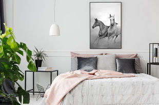 Plakaty z końmi – dekoracja, która galopem zmieni nasz wystrój