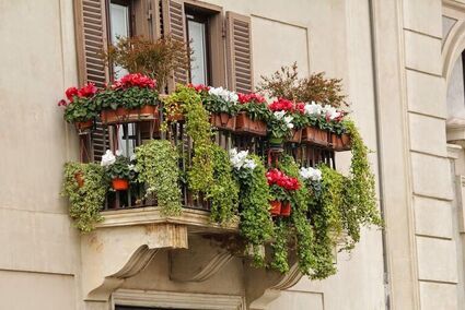 Za kwiaty na balkonie możesz dostać mandat