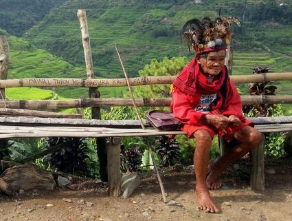 Ajałaska - psychodeliczny rytuał szamanów z Amazonii. W Polsce i zakazany i potencjalnie niebezpieczny
