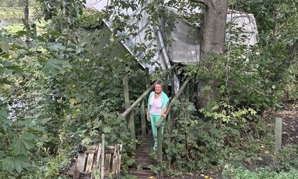 W pożarze straciła krainę marzeń i ukochane koty. Teraz chce odbudować domek na drzewach