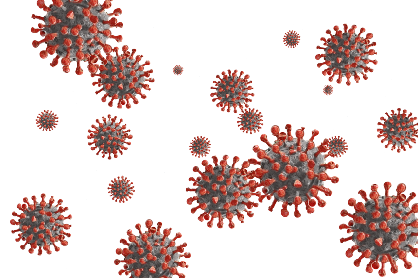 wirus Sars-Cov-2
