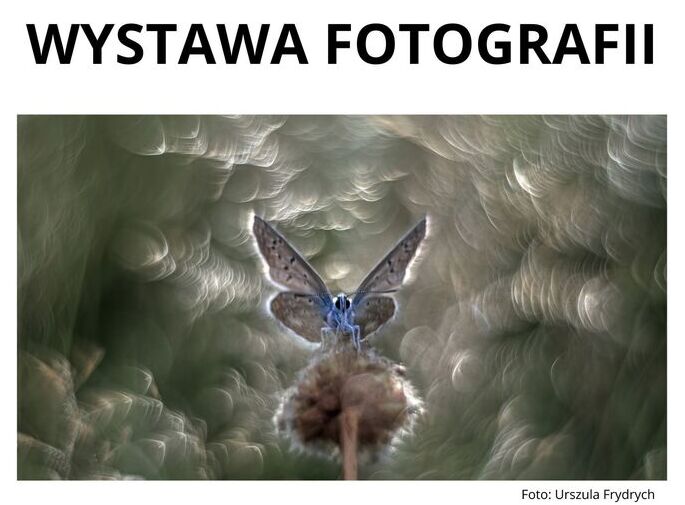 Wystawa Fotografów Przyrody w KDK