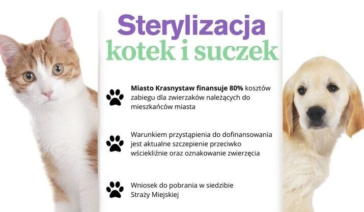 Akcja sterylizacji zwierząt 2025