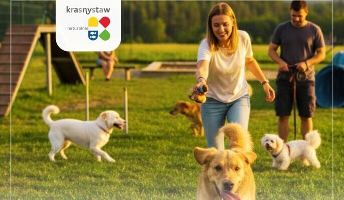Wyniki ankiety dotyczącej budowy wybiegu dla psów w mieście Krasnystaw