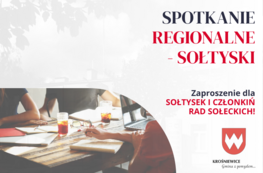 Grafika dekoracyjna - Spotkanie Regionalne - Sołtyski. Zaproszenie dla Sołtysek i Członkiń rad sołeckich!