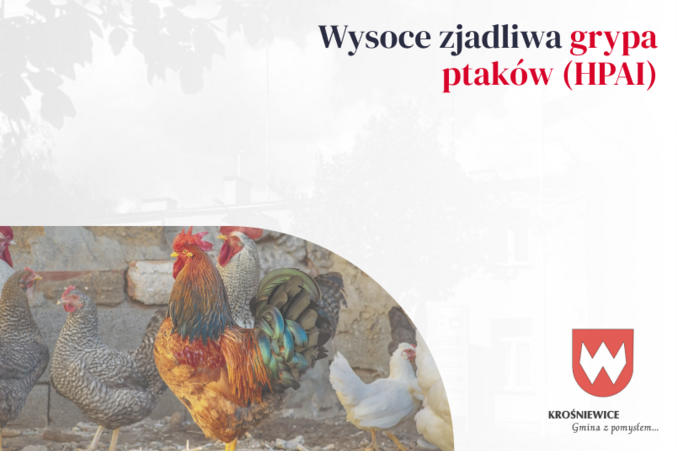 Wysoce zjadliwa grypa ptaków (HPAI)