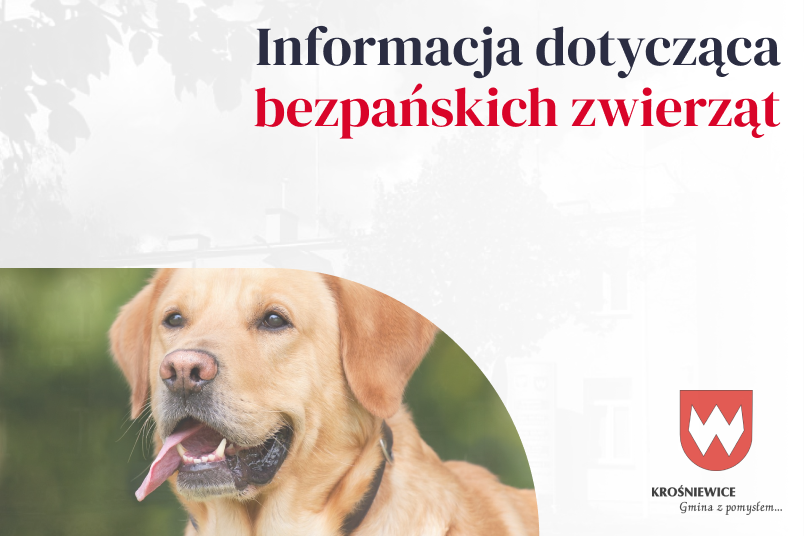 Informacja dotycząca bezpańskich zwierząt