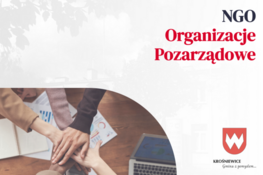 Grafika dekoracyjna - NGO Organizacje Pozarządowe