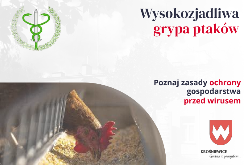 Wysokozjadliwa grypa ptaków. Poznaj zasady ochrony gospodarstwa przed wirusem.