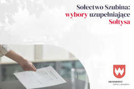 Grafika dekoracyjna - Sołectwo Szubina: wybory uzupełniające Sołtysa