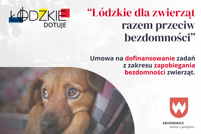 „Łódzkie dla zwierząt - razem przeciw bezdomności” Krośniewice otrzymały dotację na walkę z bezdomnością zwierząt!