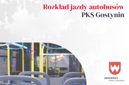 Grafika dekoracyjna - rozkład jazdy autobusów PKS Gostynin