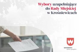 Grafika dekoracyjna - wybory uzupełniające do Rady Miejskiej w Krośniewicach