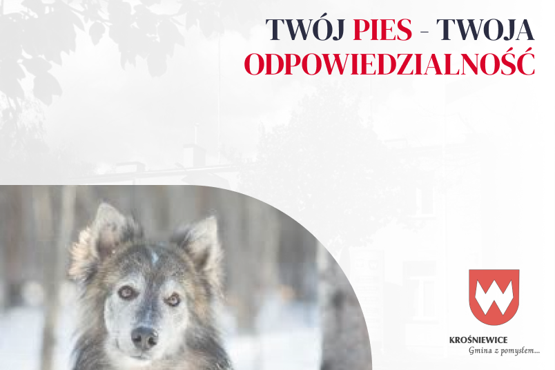 STOP luźno biegającym psom w naszej gminie!