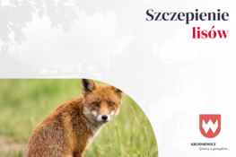 Grafika dekoracyjna - szczepienie lisów
