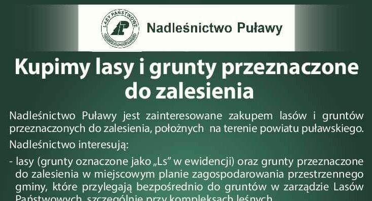 Kawałek plakatu