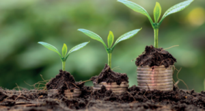 Trzy roślinki rosnące na stertach monet ułożonych na ziemi, symbolizujące wzrost finansowy i inwestycje w zrównoważony rozwój.