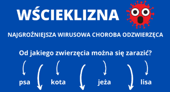 Plakat informacyjny o wściekliźnie z ilustracjami psów, z zaznaczonymi sposobami zakażenia i zachętą do szczepienia zwierząt domowych.