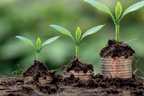 Trzy rosnące rośliny umieszczone na rosnących stosach monet na ziemi, symbolizujące wzrost inwestycji lub zysków.