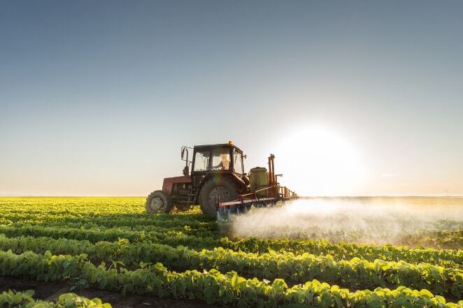 Traktor opryskujący rośliny na zielonym polu pod błękitnym niebem. Słońce świeci nisko na horyzoncie, oświetlając maszynę oraz rośliny. Obrazek przedstawia spokojną scenę rolniczą.