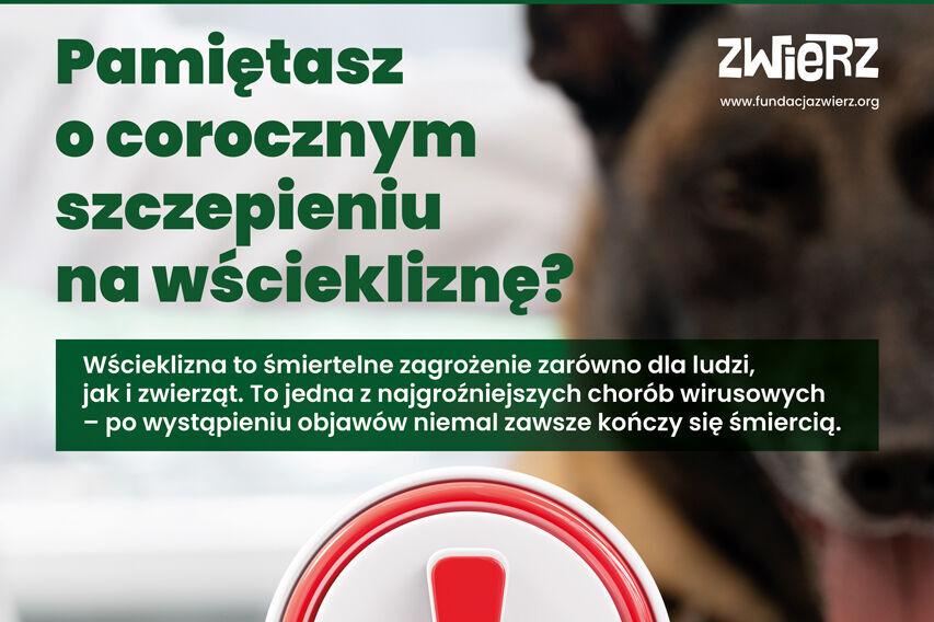 Plakat przypomina o szczepieniu zwierząt przeciw wściekliźnie. Zawiera ostrzeżenie o zagrożeniu tej choroby, obrazek z wykrzyknikiem i informację o obowiązku szczepienia psów.