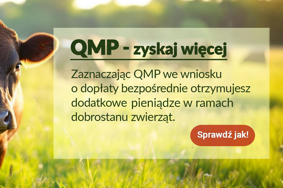 Krowa na trawie na tle zachodzącego słońca. Obok tekst zachęcający do zaznaczenia QMP we wniosku o dopłaty, co ma stanowić dodatkowe korzyści finansowe związane z dobrostanem zwierząt. Przyciski z logo.