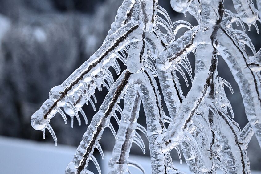 Gałęzie drzewa pokryte grubą warstwą lodu, tworzącą efektowne sople. Tło jest rozmyte, a całość tworzy zimowy, mroźny klimat.