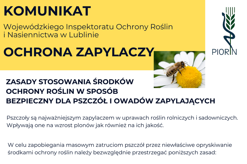 Plakat informacyjny na temat ochrony zapylaczy. Widoczna pszczoła na kwiatku. Podano zasady stosowania środków ochrony roślin bezpiecznych dla pszczół i owadów zapylających. Logo PIORiN w rogu.