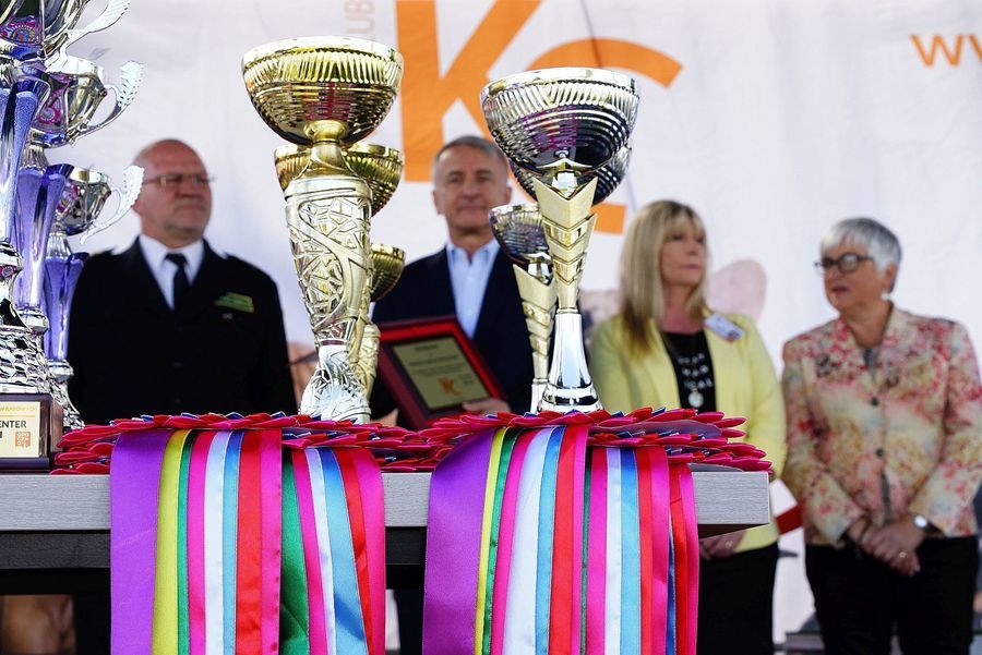 I Krajowa Wystawa Psów Rasowych w Opocznie