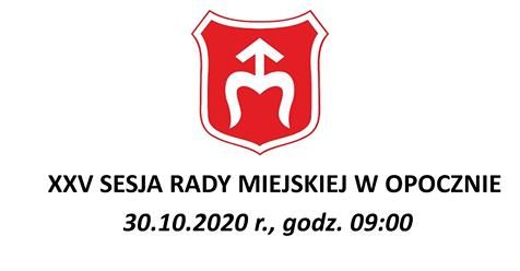 Sesja Rady Miejskiej