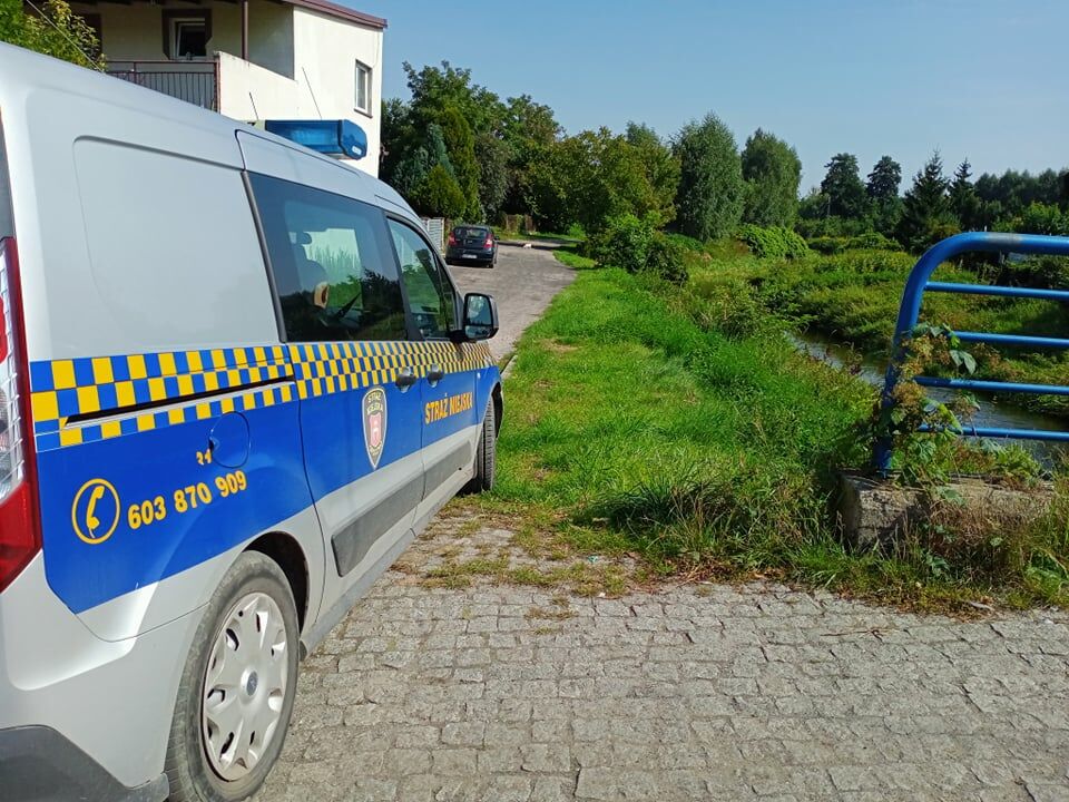 Na ratunek topielca - wspólna akcja Straży Miejskiej w Opocznie i OSP Dzielna